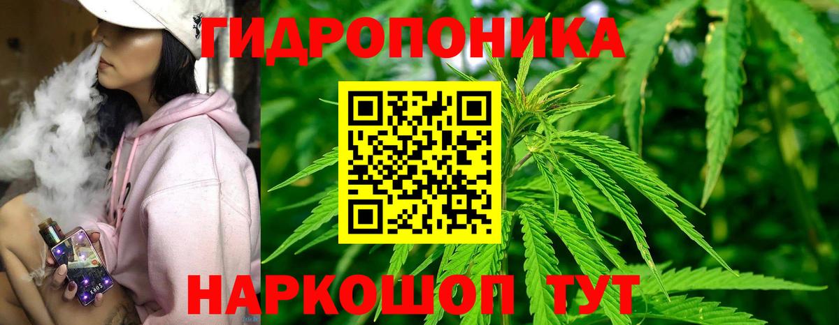 Канабис ГИДРОПОН  Каннабис THC 21%  Бошки марихуана план  Шишки марихуана Ganja  Химки  Вход с VPN 